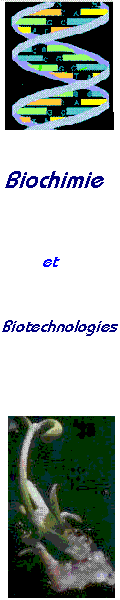 biochimie et applications biotechnologiques