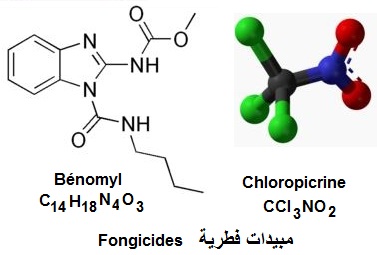 benomyl, chloropicrine