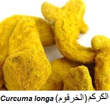curcuma.  Aliments anti-cancer